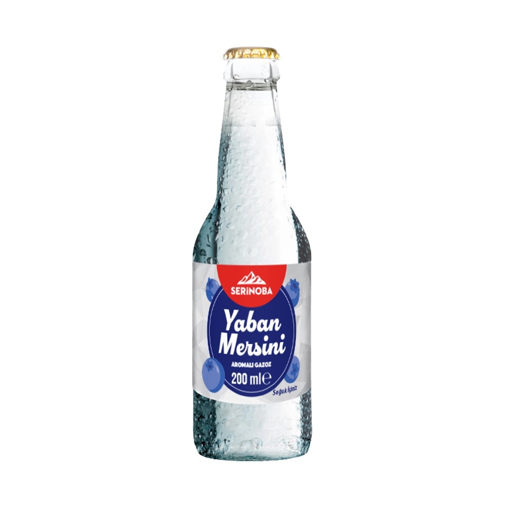 Serinoba Yaban Mersinli Gazoz 200 Ml