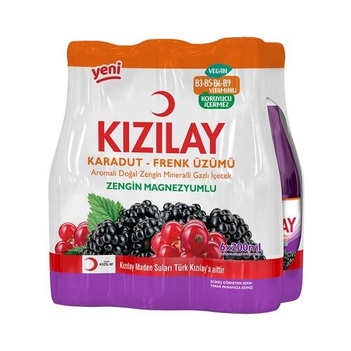 Kızılay Karadut Frenk Üzümü Meyve Suyu 6x200 Ml