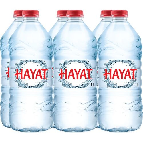 Hayat Su 6 Lt