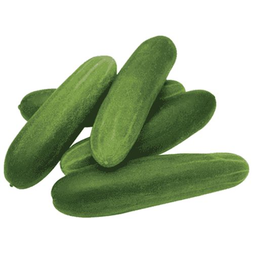 Çengelköy Salatalık 500 Gr