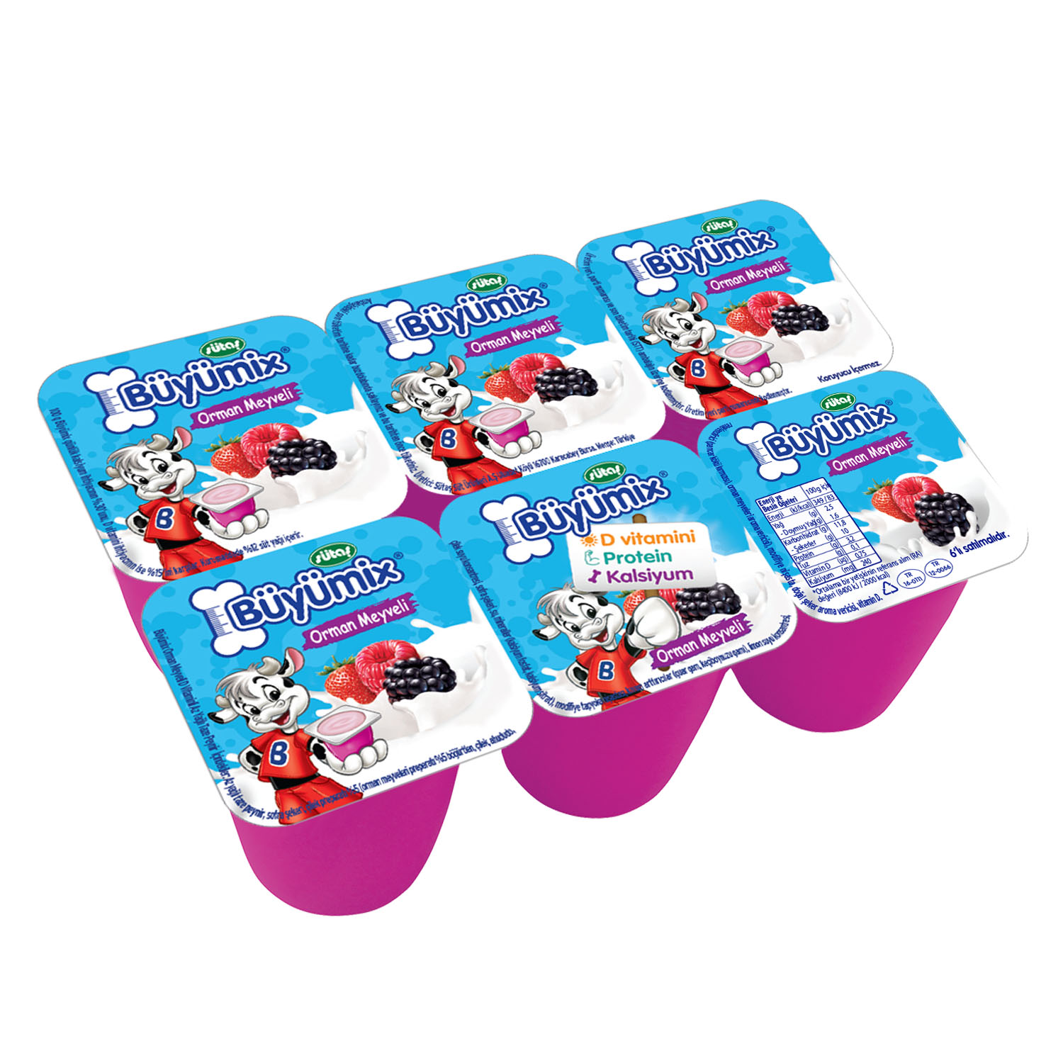 Sütaş Büyümix Orman Meyveli 240 Gr