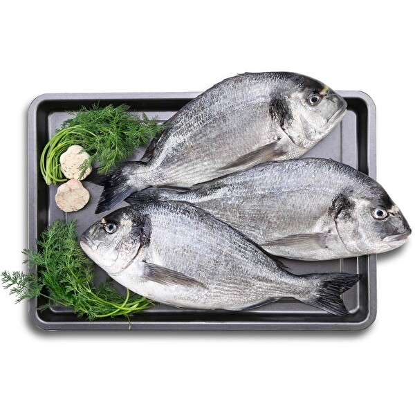 Çipura 300-1 Kg 1 Kg