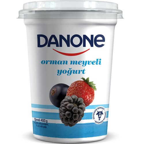 Danone Orman Meyveli Yoğurt 400 Gr