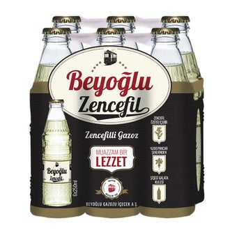 Beyoğlu Zencefilli Doğal Zengin Mineralli Gazlı İçecek 6x250 Ml