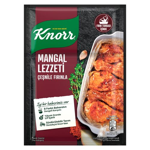 Knorr Mangal Lezzeti Tavuk Çeşnisi 29 Gr