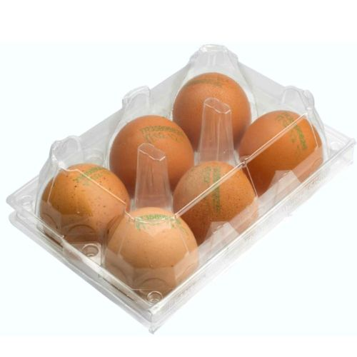 Güzide Hanım Organik Yumurta 6 Adet